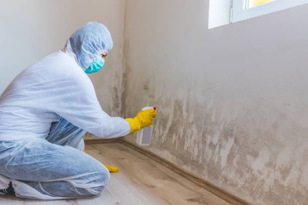 Licensed Hvac And Air Duct Mold Remediation service in Richland, MI - 24 Hour Mold Removal