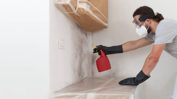 Professional Hvac And Air Duct Mold Remediation technician working in Richland, MI