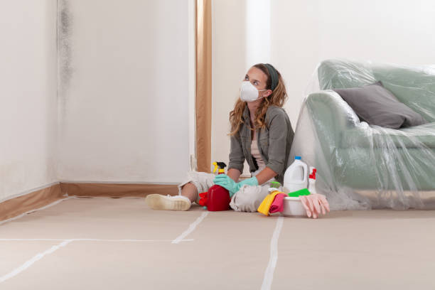 Reliable Hvac And Air Duct Mold Remediation contractor in Richland, MI by 24 Hour Mold Removal