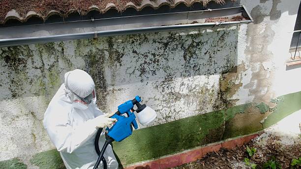 Top rated local Hvac And Air Duct Mold Remediation specialists in Richland, MI